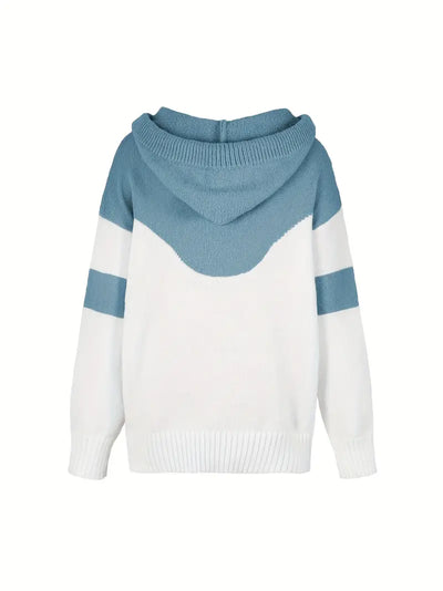 Porxia | Color Block Hoodie